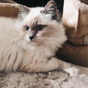 Meet your Posher, Kerry